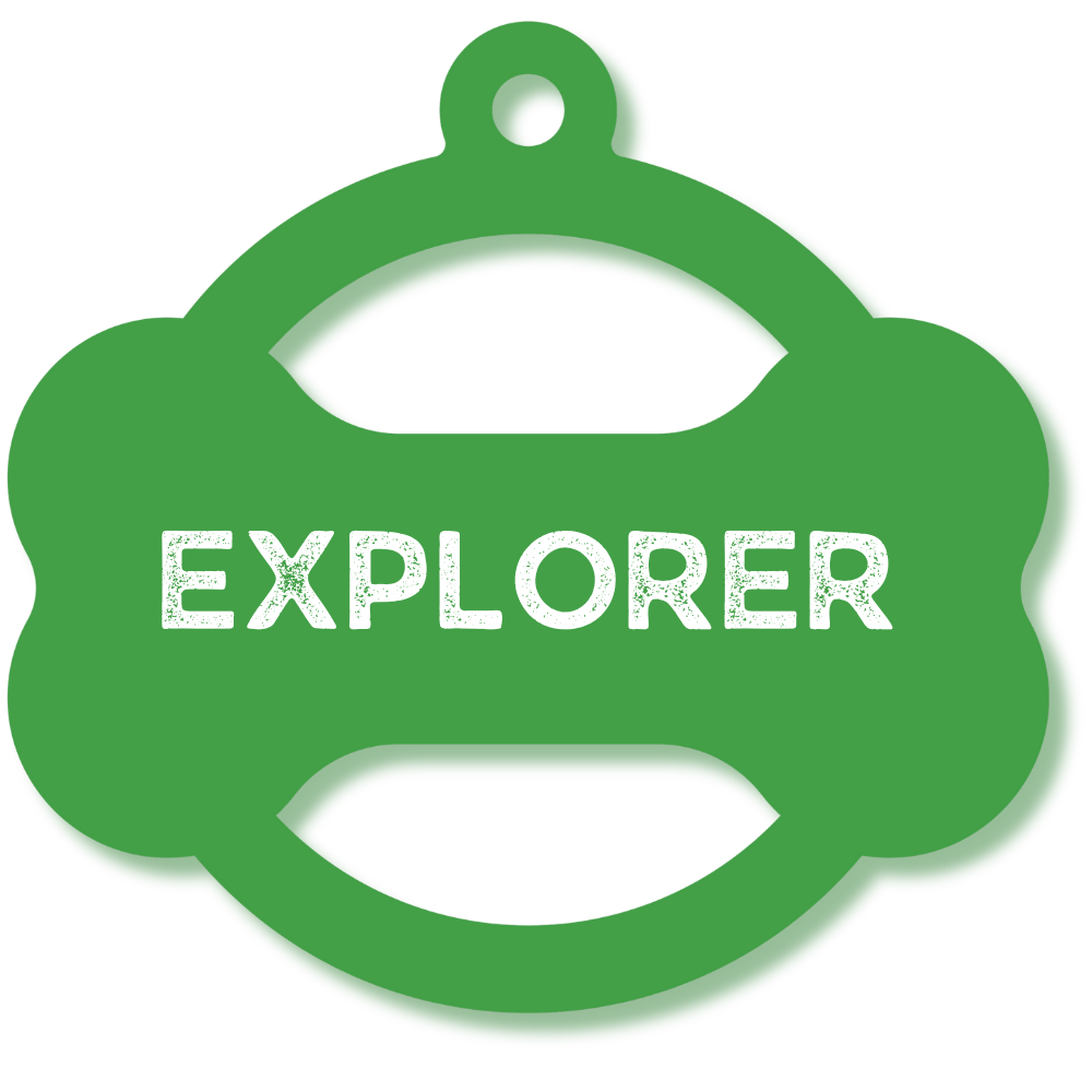 Explorer Badge